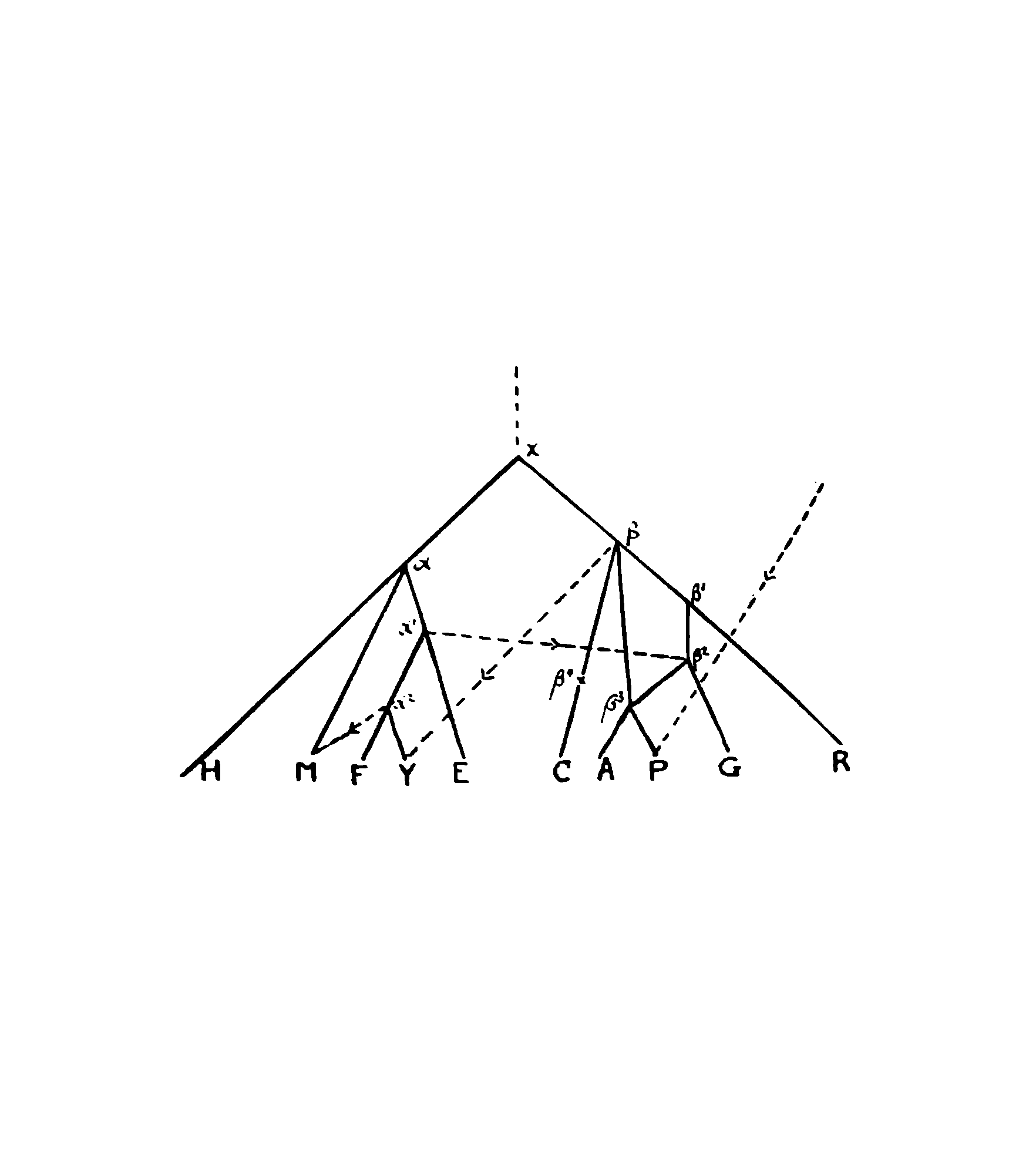 Stemma from Ewert 1932